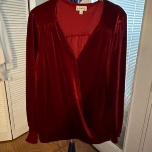 Wonderly crushed velvet blouse